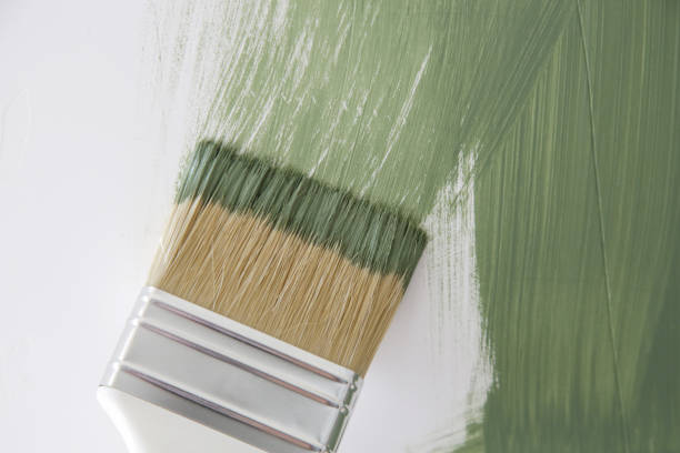 Best Mold Remediation for Healthcare Facilities  in , NC