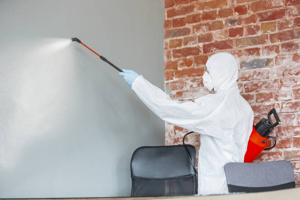 Best Mold Prevention Services  in , NC