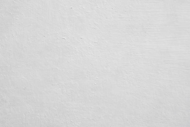 Best Asbestos and Lead Testing During Mold Inspection  in , NC
