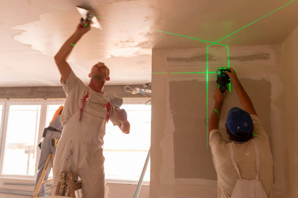 Best Residential Mold Inspection & Testing  in , NC