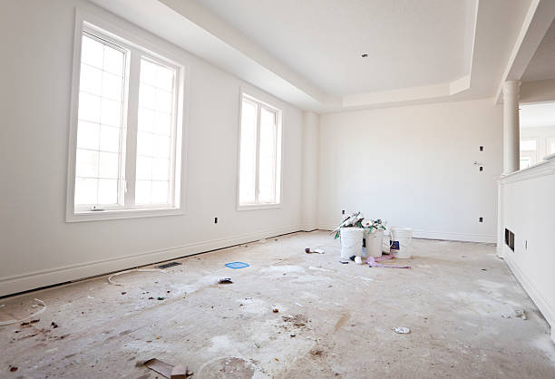 Best Basement Mold Removal  in , NC